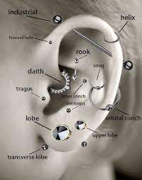 Ultimate Guide: Pain Levels of Ear Piercing Positions Revealed